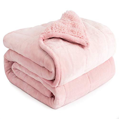 Queen Size 15lbs, Cottonblue Weighted Blanket for Adults, Fuzzy Soft Sherpa Flannel Throw, Cozy Plush Blanket for Sofa Bed, 60 x 80 inches, Blush Pink