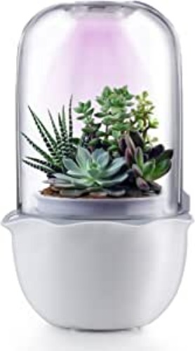 Succulent Pot with Grow Light,Smart Succulent Planters with Timer and Fan,Small Indoor Plant Pots with Drainage Hole for Tabletop Plant,Ideal Gift for Valentine's Day,Wife,Mom,Birthday(No Plant)
