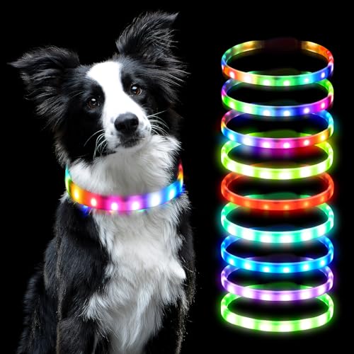AUAUY Collare Luminoso per Cani, Collare per Animali Domestico LED Ricaricabile USB, Collare di Lunghezza Regolabile con 9 Modalità Luminose per Cani di Taglia Piccola Media Grande - Multicolore - 9 Modalità di Luce （Multicolore）
