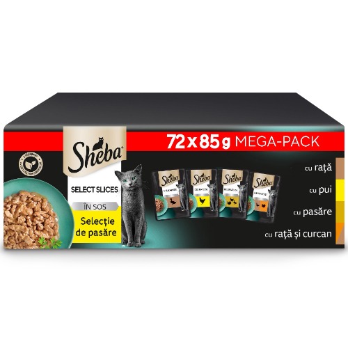 Wet food for cute kitties <3; 72 pieces x 85g each