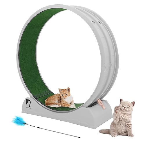 RYpetmia Cat Exercise Wheel, 47.2 Inch Cat Treadmill for Indoor Cats, Cat Running Wheel with Carpeted Runway, Easy to Install & Fitness & Health, Suitable for Most Cats, Plastic Cat Wheel - 45.6” Diameter - Grey