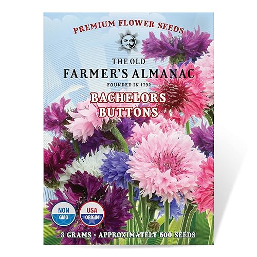 The Old Farmer's Almanac Bachelors Buttons Seeds - Approx 500 Flower Seeds - Non-GMO, Premium, Open Pollinated