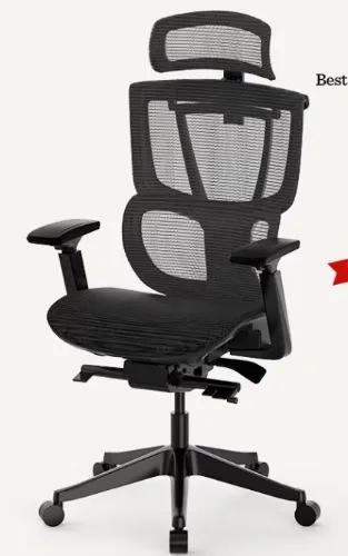 FlexiSpot C7 Ergo Chair