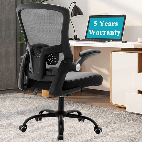 Nobofeeling Office Chair, High Back Desk Chair with 5 Years Warranty and Adjustable Lumbar Support, Swivel Task Chair with Soft Seat & Ergonomic Backrest for Pain Back, Computer Chair -