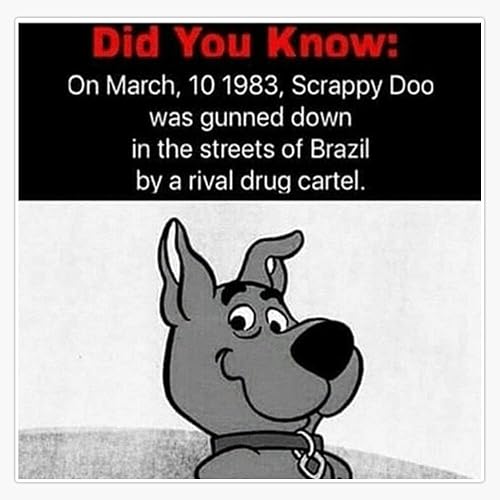 Scrappy Doo Found Dead Sticker Vinyl Bumper Sticker Decal Waterproof 5"