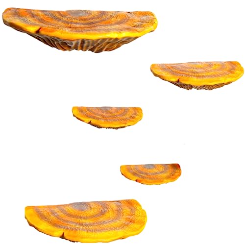 Mushroom Shelf Decoration - 5-Piece Floating Display Shelf, Small Wall Shelf for Bedroom, Bearded Dragon Tank Decor, Leopard Gecko Tank Accessories - Reptile Tank Accessories & Cottage Core Decor