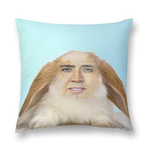 Cute Rabbit Cage Sofa Cushion Case Home Decorative Throw Nicolas Pillow Cover for Couch Bedroom 18x18 Inch - Style-2-1