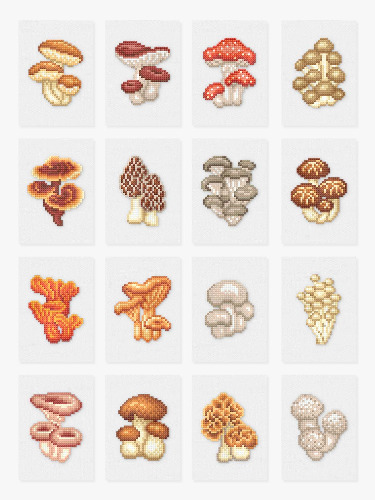 Mushrooms Edition | Default Title