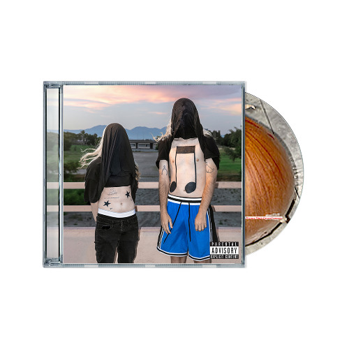 100 gecs 10,000 gecs cd