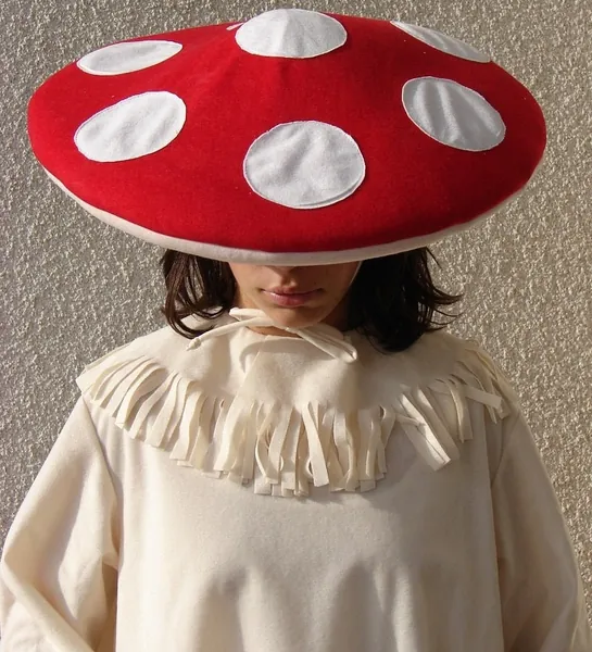 Mushroom headpiece  with dots for toddlers, kids and adults