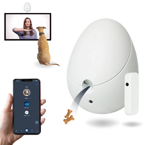 Go Dogo - Mental Workout for Dogs | Go Dogo with Lifetime Standard Membership included