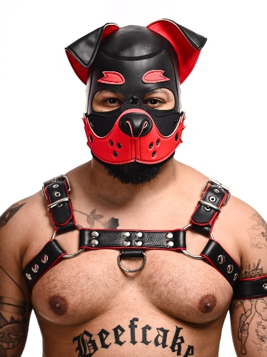   Leather Bulldog Harness 2 Layers – Colour Options