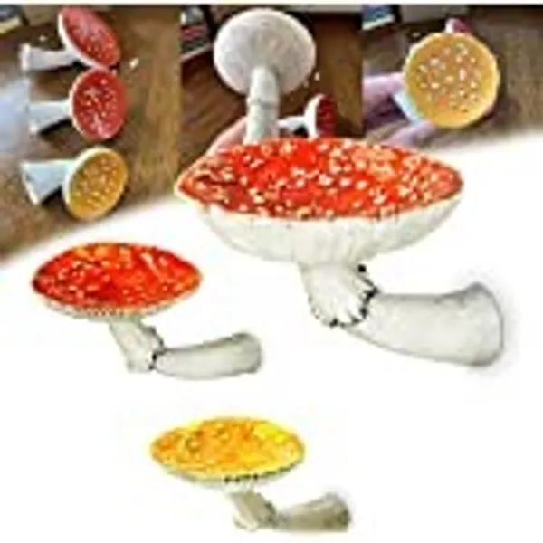 Amazon.com: Mushroom Floating Shelves, 【2022】 Cute Mushroom Room Decor, Wall Decor Floating Shelf, Whimsical Mushroom Decor Wall Mounted, Creative Art Rack for Living Room Kitchen Bathroom (ALL-3PCS) : Home & Kitchen
