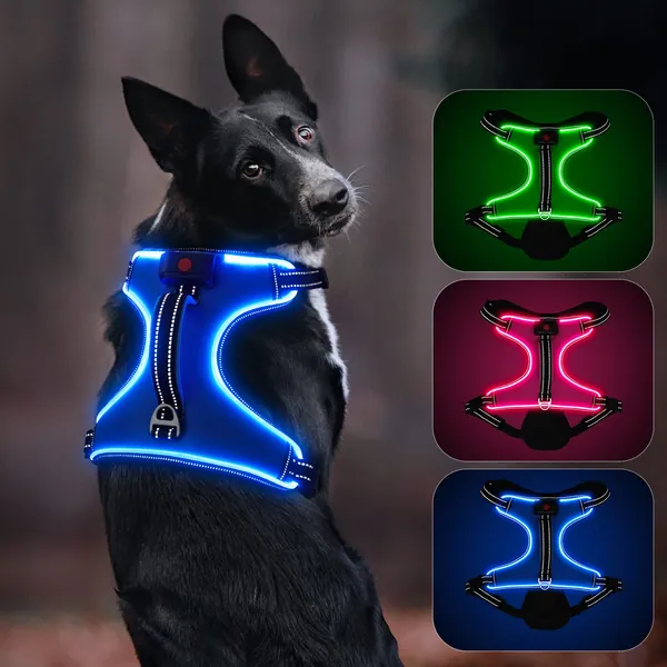 Dlitk Light Up Dog Harness, LED Dog Harness with Handle Rechargeable Adjustable, Lighted Dog Harness for Small/Medium/Large/X-Large Size Dogs - Large Blue