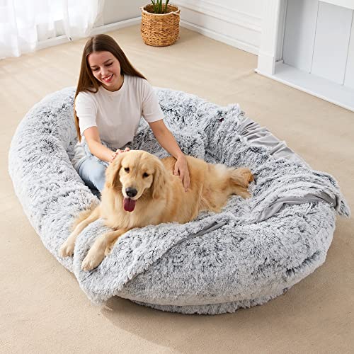 Large Human Dog Bed Bean Bag Bed for Humans Giant Beanbag Dog Bed with Blanket for People, Families, Pets, 75.5"x55"x12" (Grey Plush) - 72.0"L x 48.0"W x 10.0"Th - Grey Plush