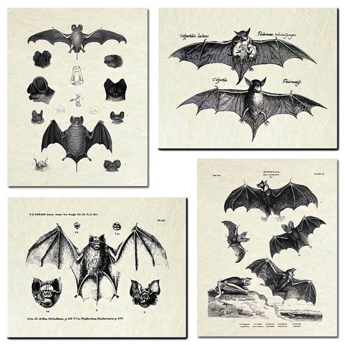 KIHOARL 4 Pcs Bats Wall Decor Bats Wall Art Canvas Print,Vintage Retro Hipster Gothic Wall Decor Goth Art Gothic Gifts for Home Living Room Bedroom Office Decoration(Unframed,8x10 inches)