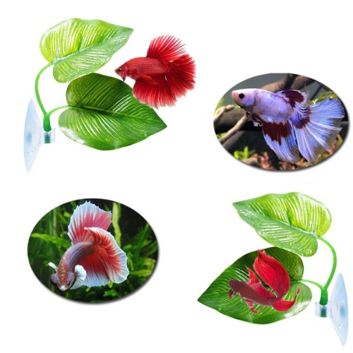SHULLIN Betta Bed bed blad hangmat kussen Betta hangmat kunstmatige aquarium planten decoratie simulatiebladeren met zuignap kunstplanten blad voor Betta vis rustplaats