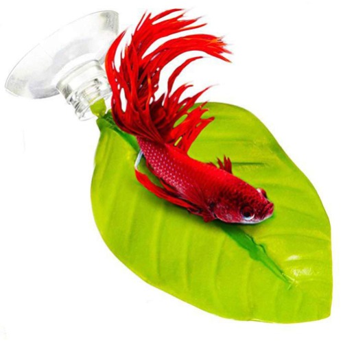 POPETPOP 2 Pack Betta Leaf Hangmat-Plant Blad Pad Vissen Spawning Terrein Fokken Rustbed Beta Fish Accessoire voor Tank