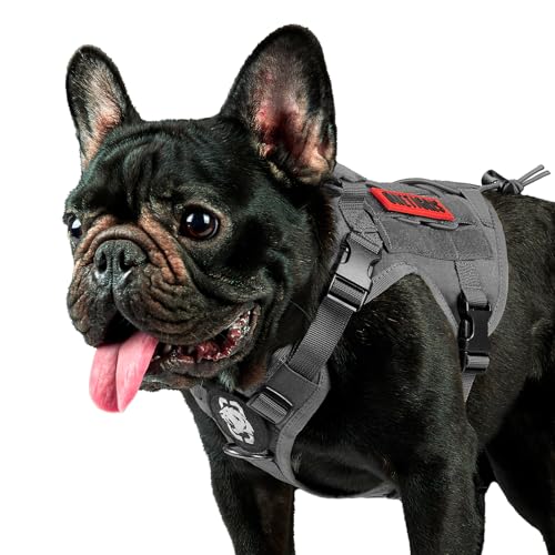 Tactical Dog Harness Vest with Handle, Military Dog Harness for Large Medium Dogs,No-Pull Service Dog Vest with Hook & Loop Panels,Adjustable Dog Vest Harness for Walking Training (Grey, XXS) - XXS - Grey