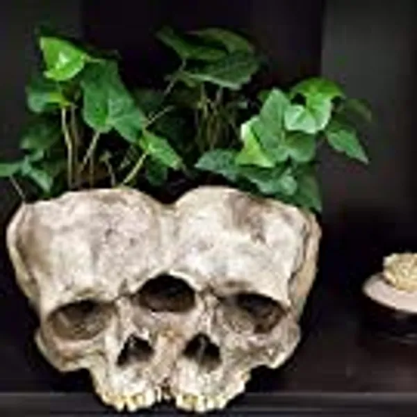 Skull Planter Pots for Indoor Plants, Skull Plant Pot Head Yard Art Outdoor and Garden Decor Outside Spring Skull Flower Pot for Home Decorations Birthday Gag Gifts Halloween (Double skull)