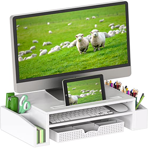 Simple Houseware Desk Monitor Stand Riser with Adjustable Organizer Tray, White - White