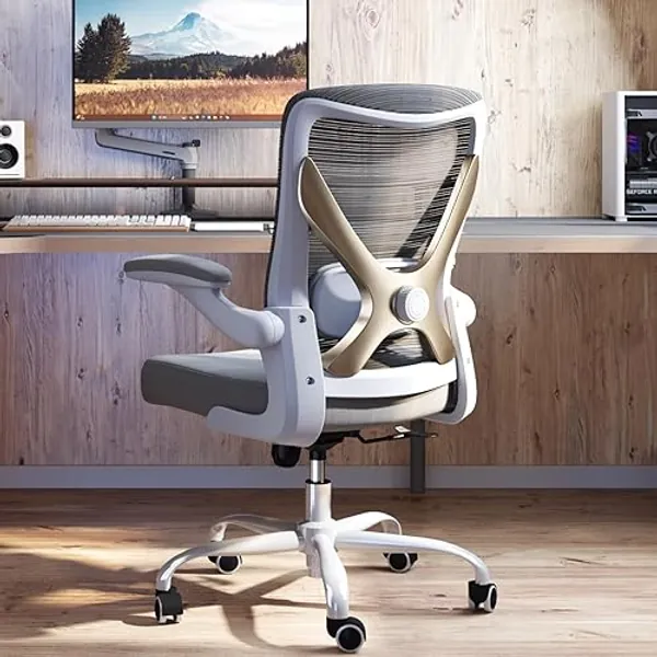 Ergalithic Ergonomic Office Chair - X-Shaped Computer Desk Chair Comfy, Gaming Chair, Office Chair with Lumbar Support, Mesh Office Chairs, Desk Chair for Long Hours(Grey Gold)