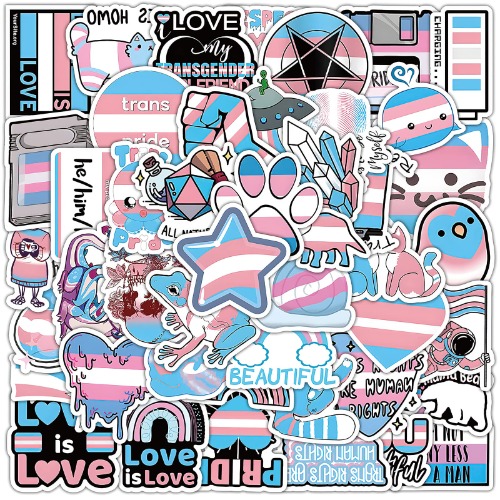 Runmeihe 60 PCS Transgender Pride Stickers, Waterproof Pride Accessories for LGBTQ, Colorful Gay Pride Accessories Pride Stickers for Water Bottle, Laptop, Skateboard, Phone, Guitar (Transgender) - Transgender