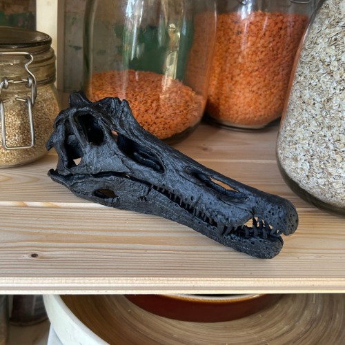 Baryonyx walkeri | miniature dinosaur skull