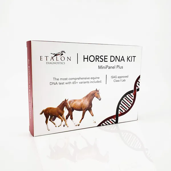 Etalon Diagnostics Horse DNA Test - Genetic Testing Kit (55+ Traits) to Identify Equine DNA - Test for Coat Color  Patterns, Disease Risk, Abilities  Performance Genetics  More - MiniPanel PLUS