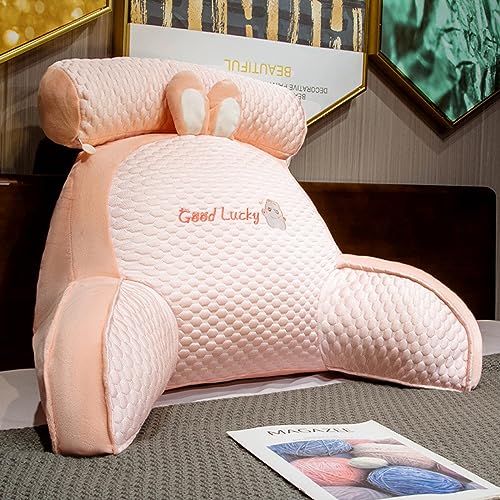 Posture Pillow