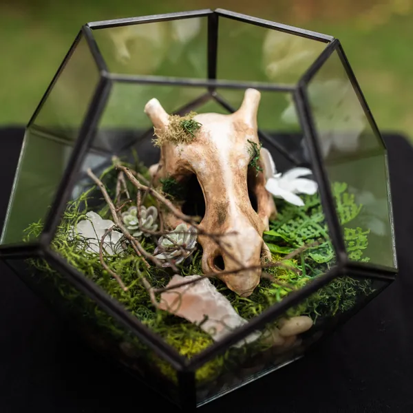 Cubone Skull Terrarium Pokemon Decor