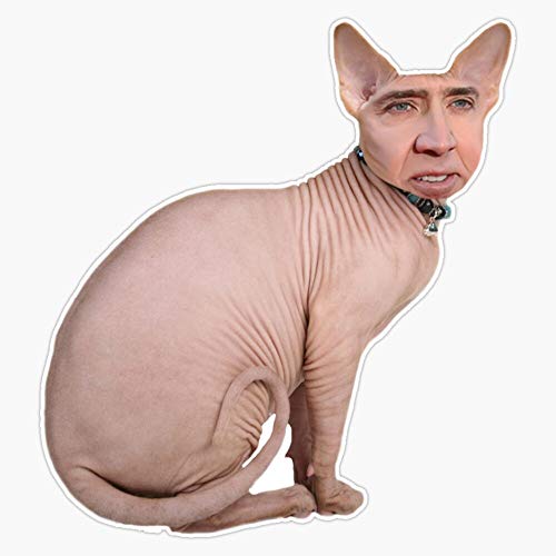 Nicholas Cage Cat Sticker Decal Bumper Sticker 5"