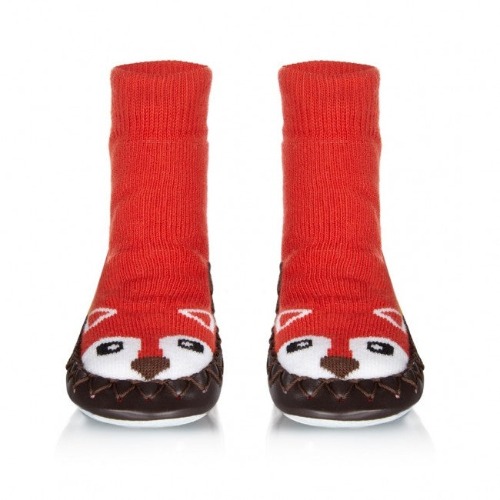 Mr Fox - 20/21