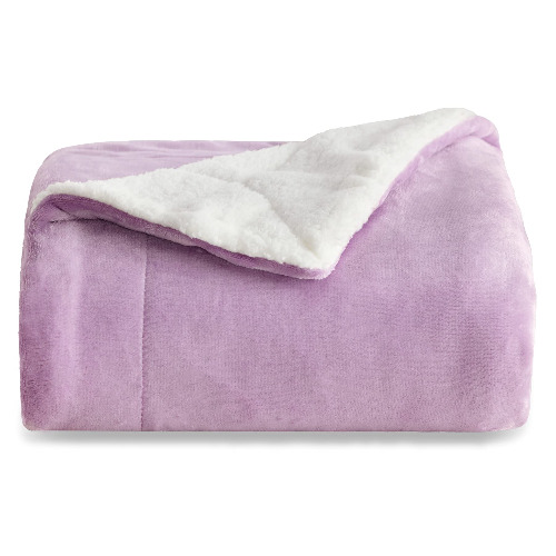 BEDSURE Kids Sherpa Fleece Throw Blanket for Couch - Lalic Thick Fuzzy Warm Soft Blankets and Throws for Sofa, Kids Bed Blankets, 50x60 Inches - 50x60 Lilac