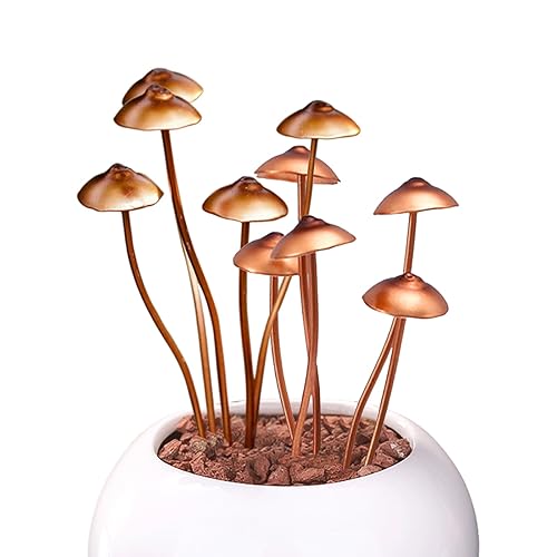 ~Mushrooms Plant Decorations~