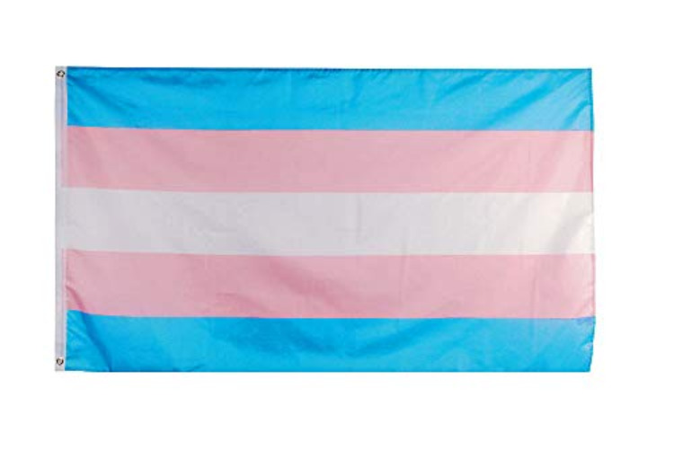 Flaglink Transgender Pride Flag 3x5 Fts - Trans Rainbow Banner - Trans