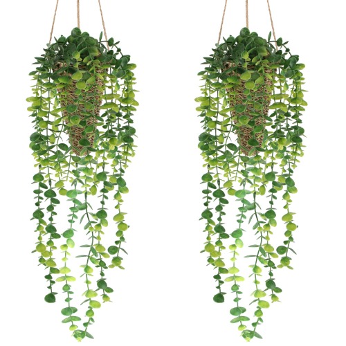 Hanging Plants with Woven Basket, 2 Pack 