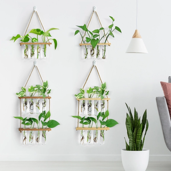 New Propagation Station Wall Hanging, Test Tube Holder For Propagating Plant Cuttings In Water, Wall Hanging Plant Wall Decor, Home Decor