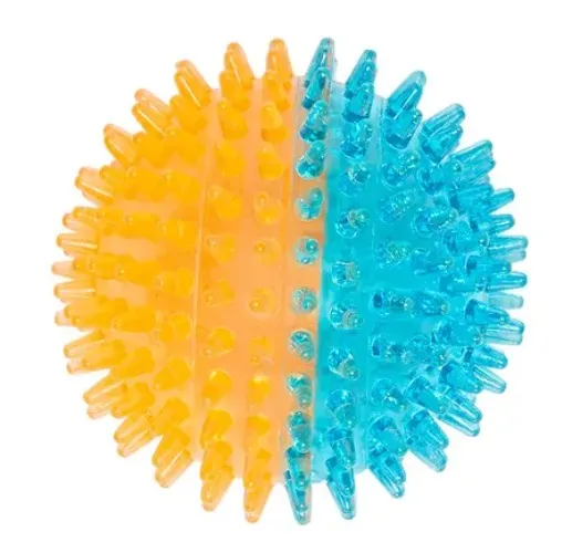 Spiky Ball Dog Toy