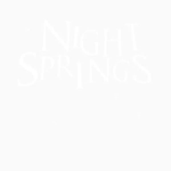 Night Springs - Alan Wake Tee | Relaxed Fit T-Shirt