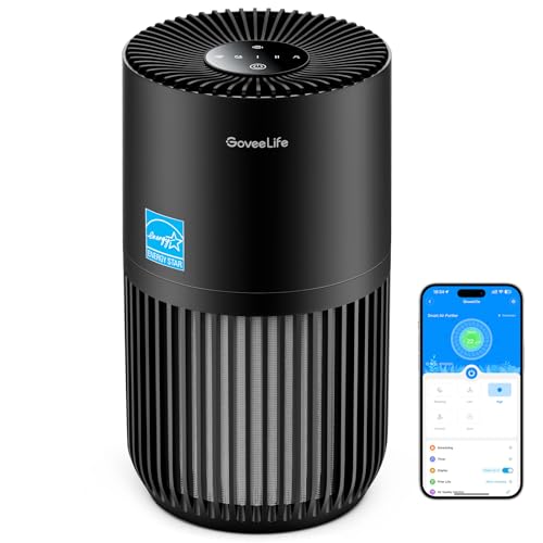 GoveeLife Mini Air Purifier for Bedroom, HEPA Smart Filter Air Purifier with App Alexa Control for Pet Hair, Odors, Pollen, Smoke, Portable Air Cleaner with 3 Speeds, Timer, Aroma for Home, Black - Black