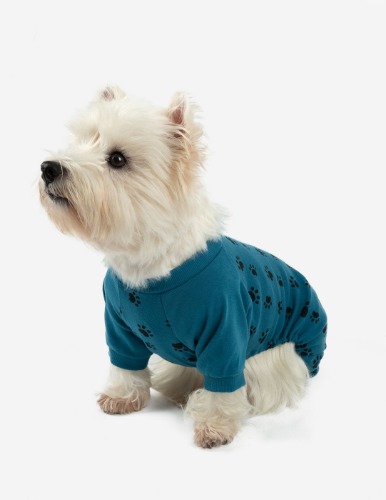 Dog Paw Print Pajamas - dog-paw-blue / Small