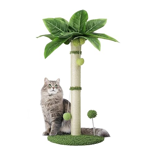 Arquiel Katze Kratzbaum Groß, Kratzsäulen Katzenkratzbaum mit 5 Interaktiven bällen, Sisal-Seil-Kratzbäume für Wohnungskatzen und Kätzchen (Höhe 65 cm)