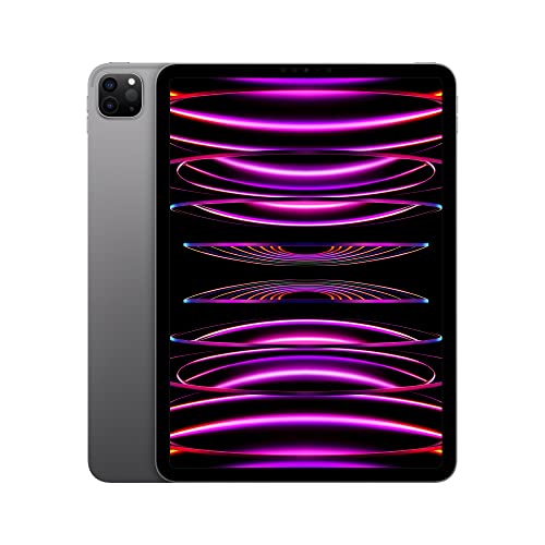 Apple iPad Pro 11-inch (4th Gen) -- VtubeStudio Requires iPad FaceID