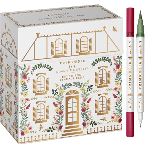 100 Dual Tip Market Set