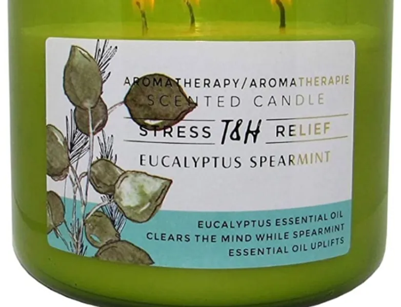 Stress Relief Aromatherapy Candles Eucalyptus Spearmint Scented Candle | 16 Oz Soy Candles for Home | Decorative Candles Long Lasting 3 Wick Candle - 
