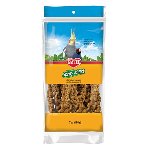 Kaytee Spray Millet Treat for Pet Birds, 7 Ounce - 7 Ounce (Pack of 1)