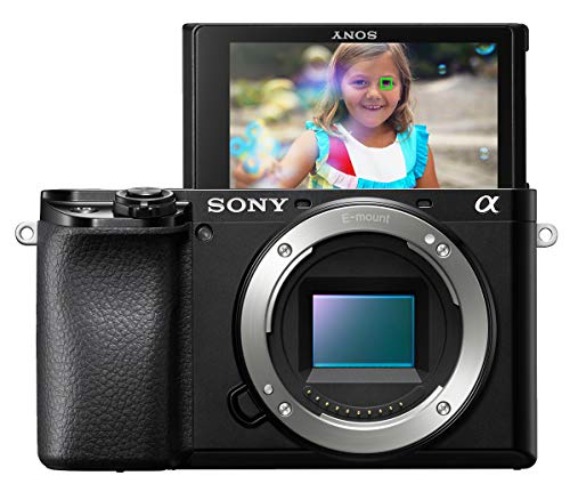 Sony Alpha A6100 Mirrorless Camera - Camera Only