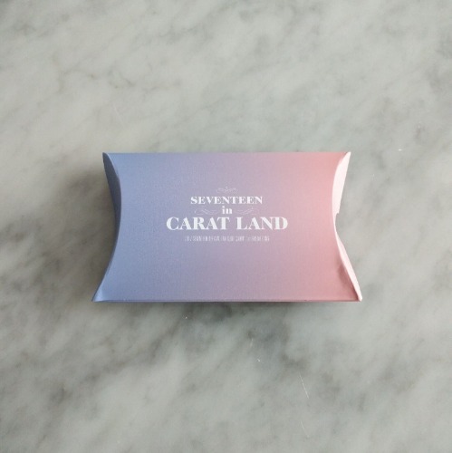 SEVENTEEN in CARAT LAND 2017 Official Bracelet