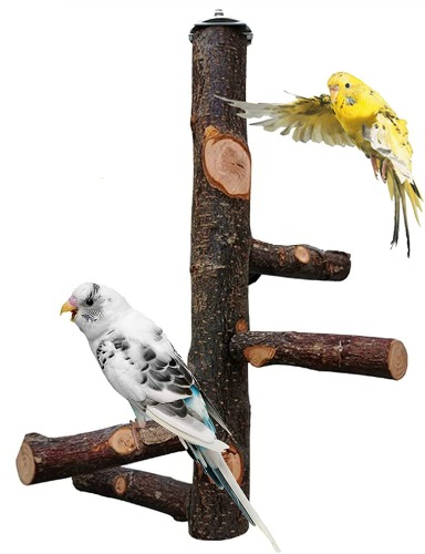 HUIRUMM Wood Bird Perch Stand,Bird Perch Stand Toy, Bird Perch Stand Toy Wood Parrot Perches Hanging,Hanging Multi Branch Perch for Parrots, Parakeets Cockatiels,Love Birds, Finches